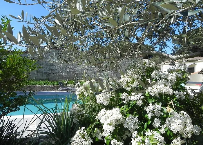 Villa Del Re 3 Face A La Piscine