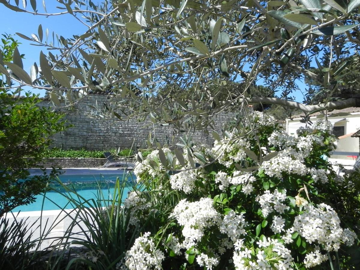 Del Re 3 Face A La Piscine * La Flotte